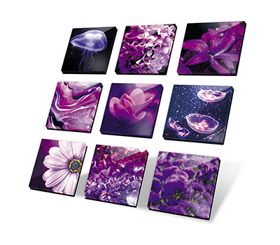 Collection of Acrylic Prints